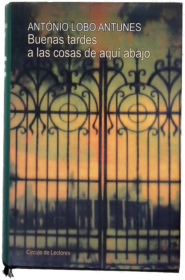 Buenas tardes a las cosas de aquí abajo