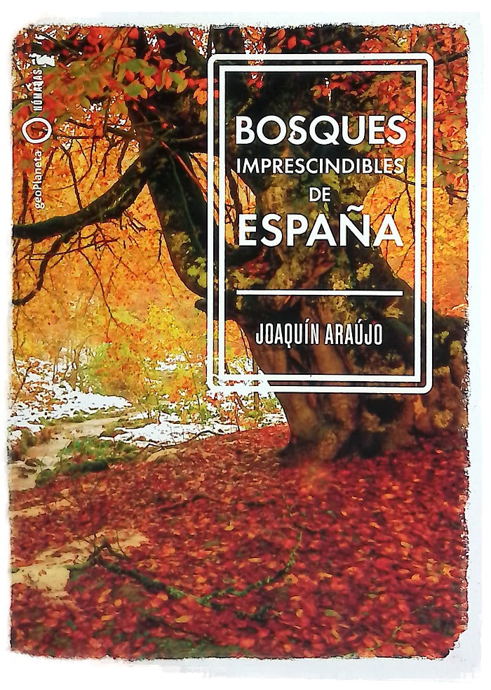Bosques imprescindibles de España