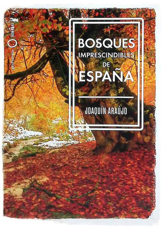 Bosques imprescindibles de España