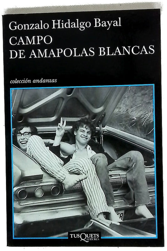 Campo de amapolas blancas