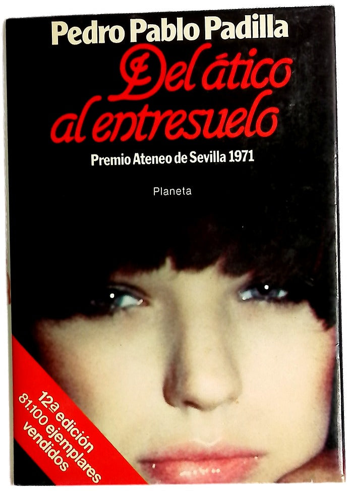 Del ático al entresuelo : novela