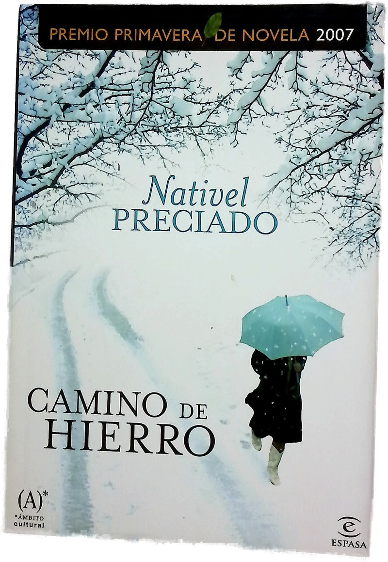 Camino de hierro
