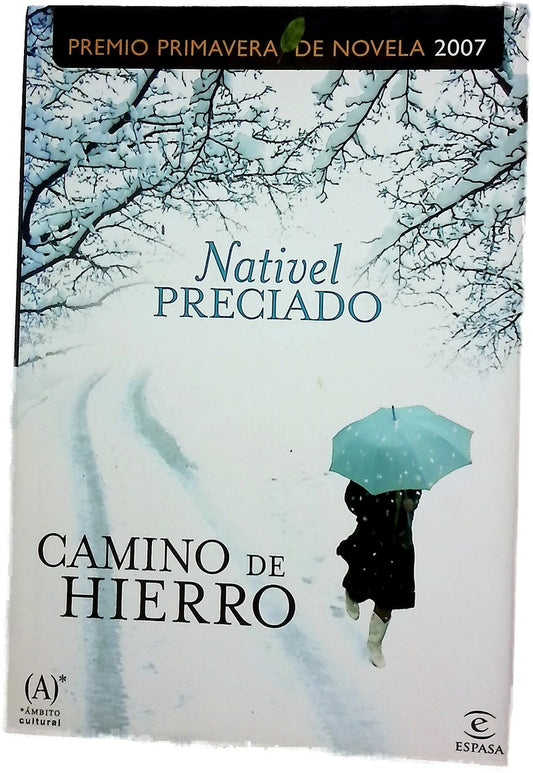 Camino de hierro