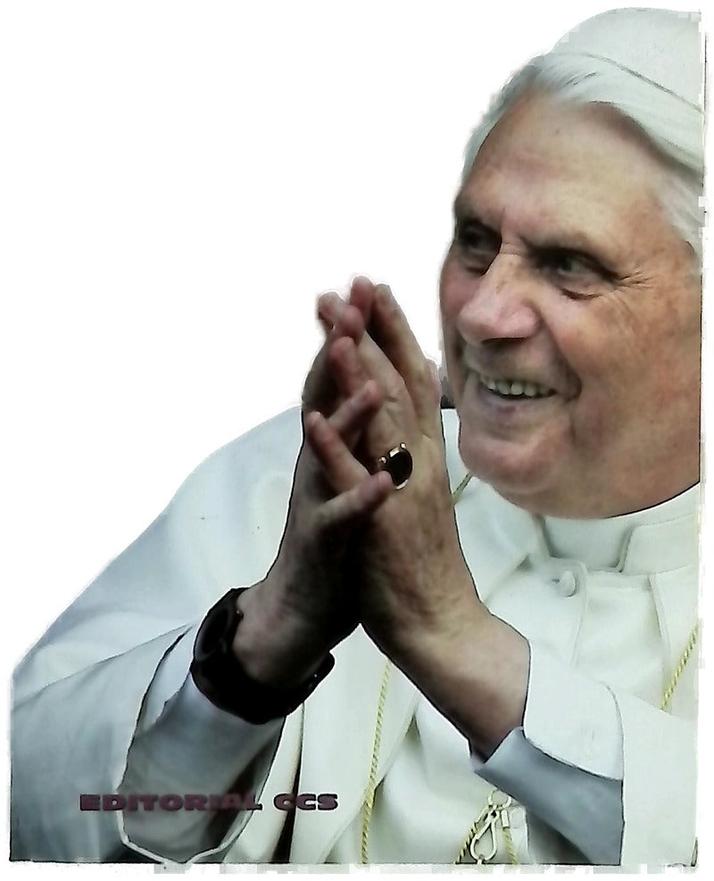 El alma de Benedicto XVI pensamientos y reflexiones de un humilde trabajador de la Viña del Señor