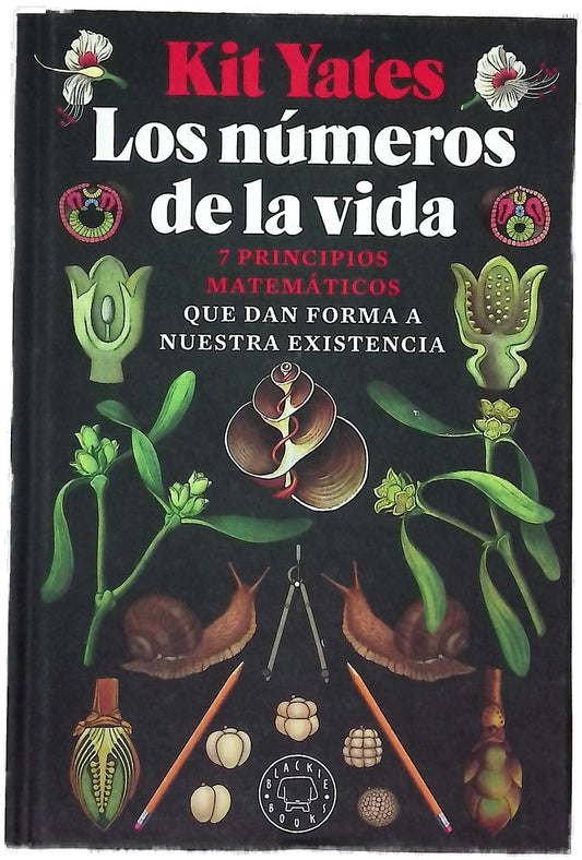 Los números de la vida : siete principios matemáticos que dan forma a nuestra existencia