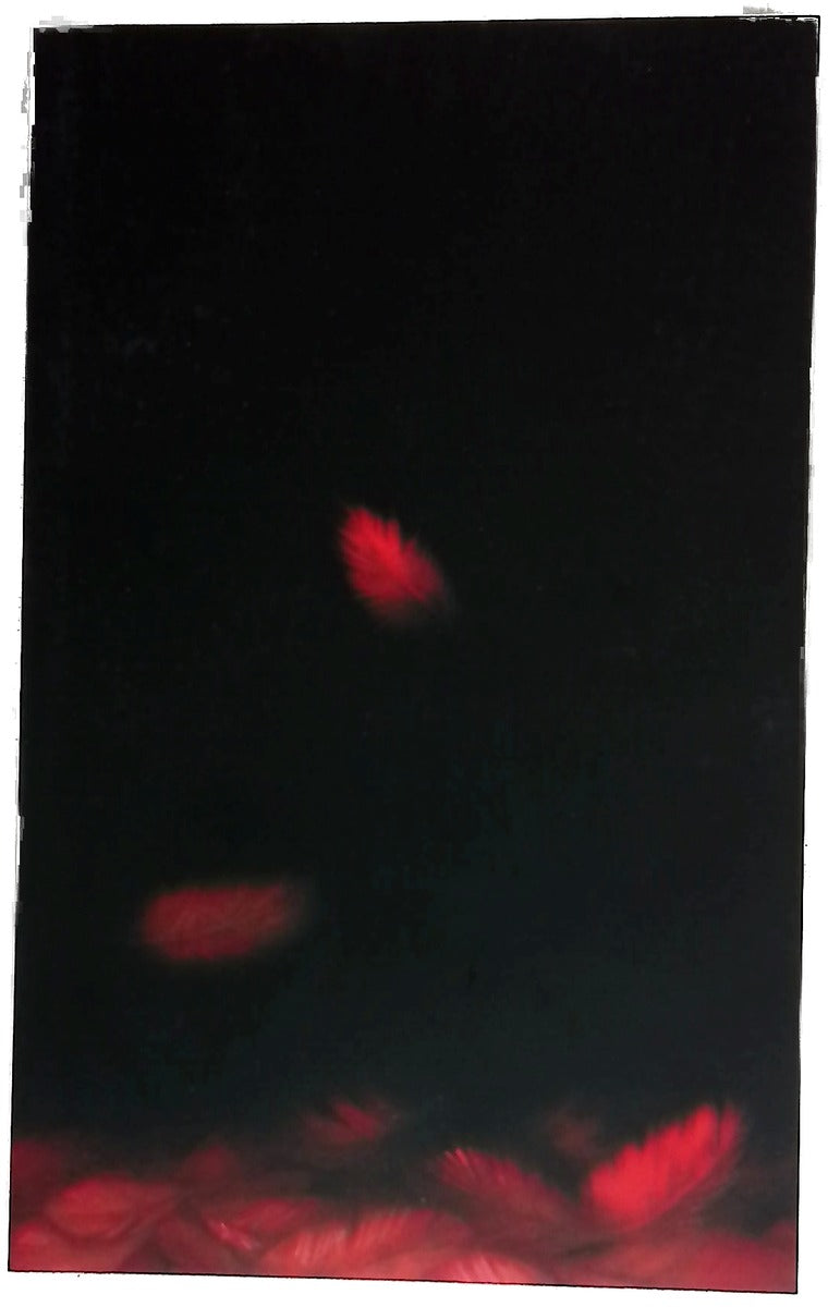 Metamorfosis en el cielo