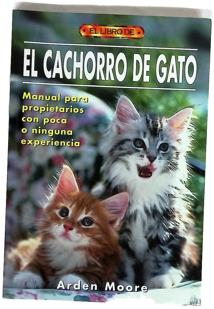 El cachorro de gato