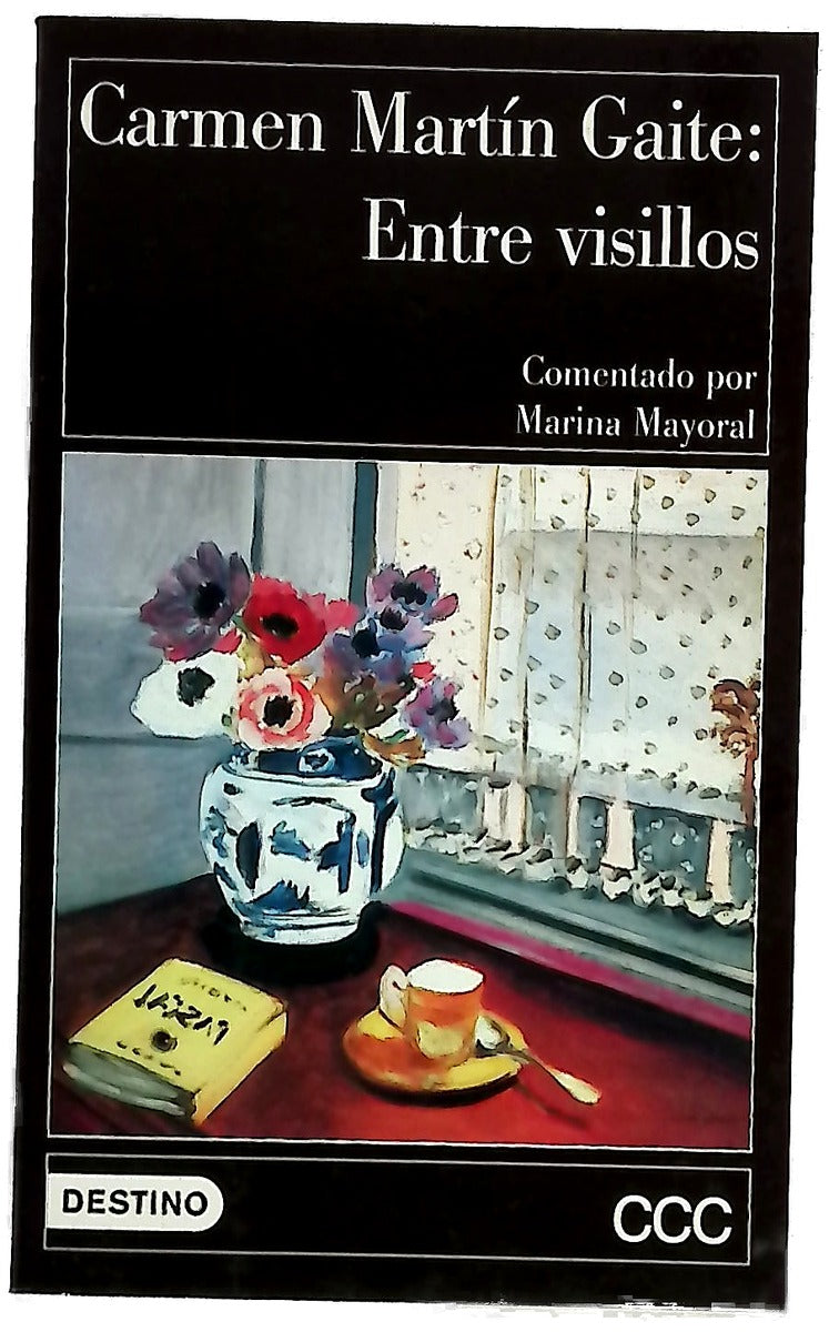Entre visillos