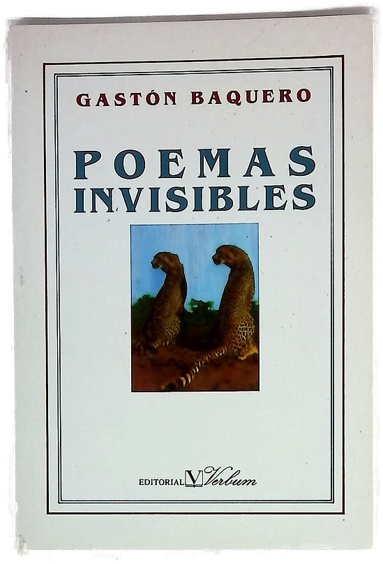 Poemas invisibles