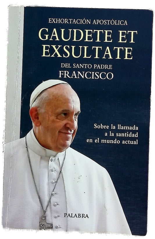 Exhortación apostólica Gaudete et exsultate : sobre la llamada a la santidad en el mundo actual