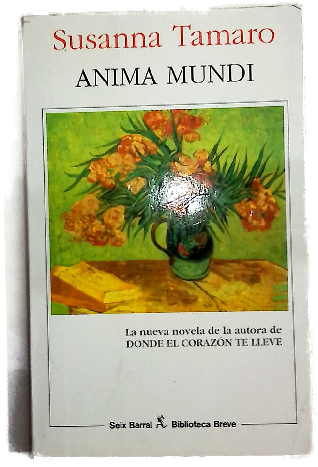 Anima mundi