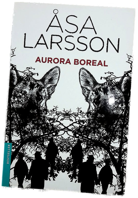 Aurora boreal