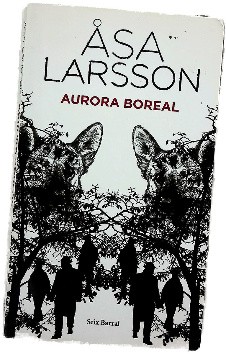 Aurora boreal