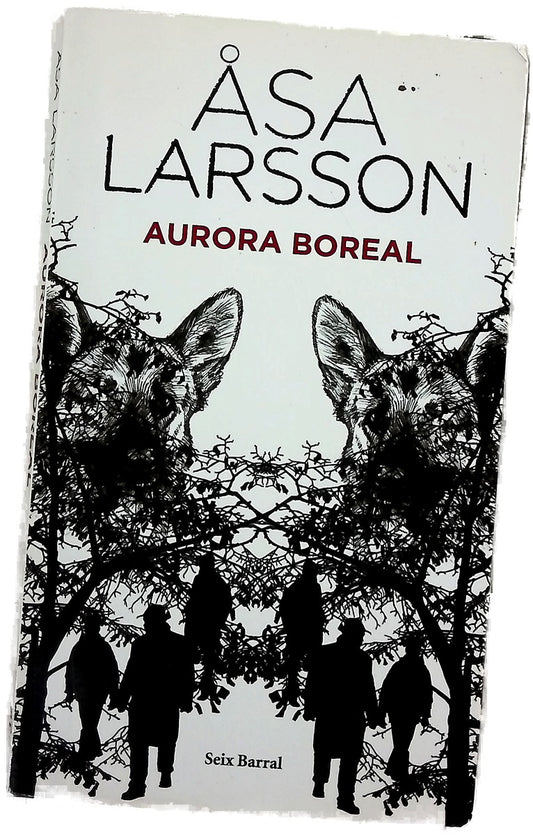 Aurora boreal