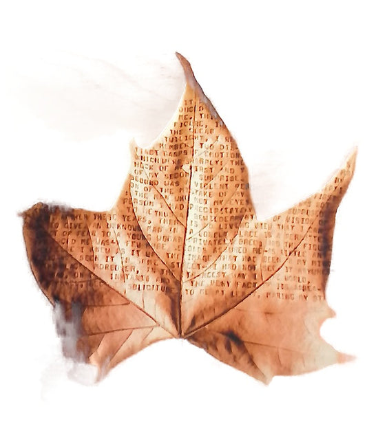 Naturaleza muerta