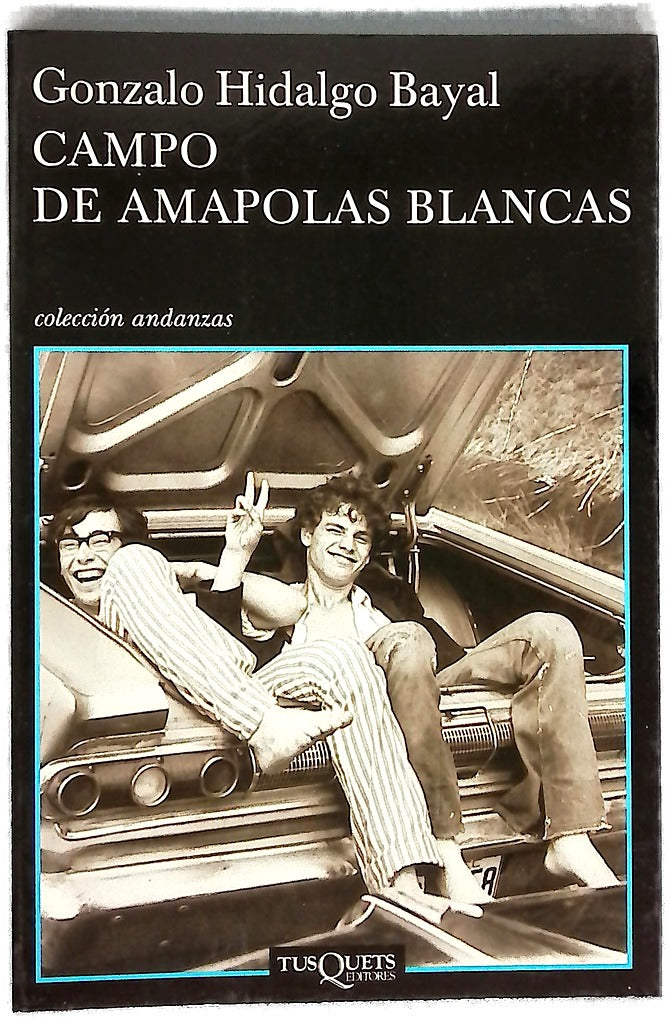 Campo de amapolas blancas