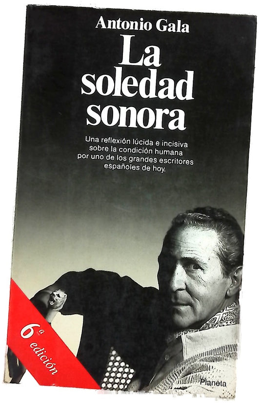 La soledad sonora