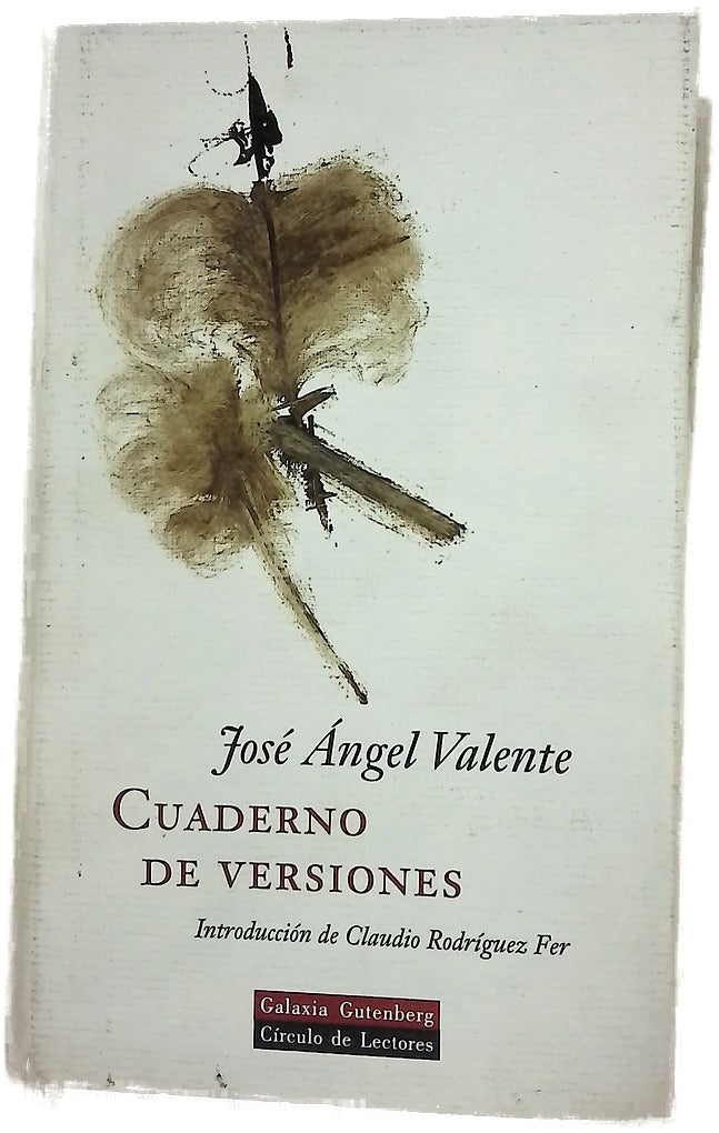 Cuaderno de versiones