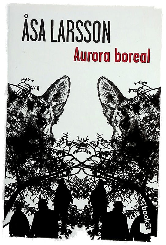 Aurora boreal