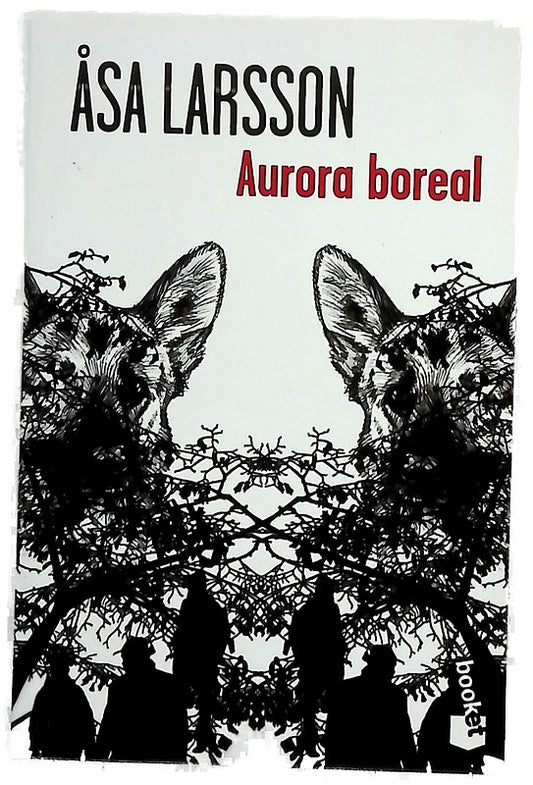 Aurora boreal