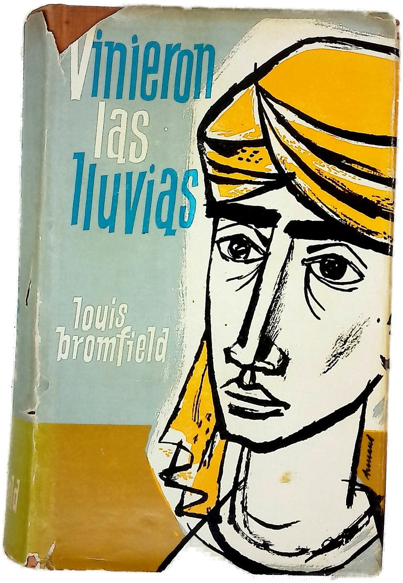 Vinieron las lluvias