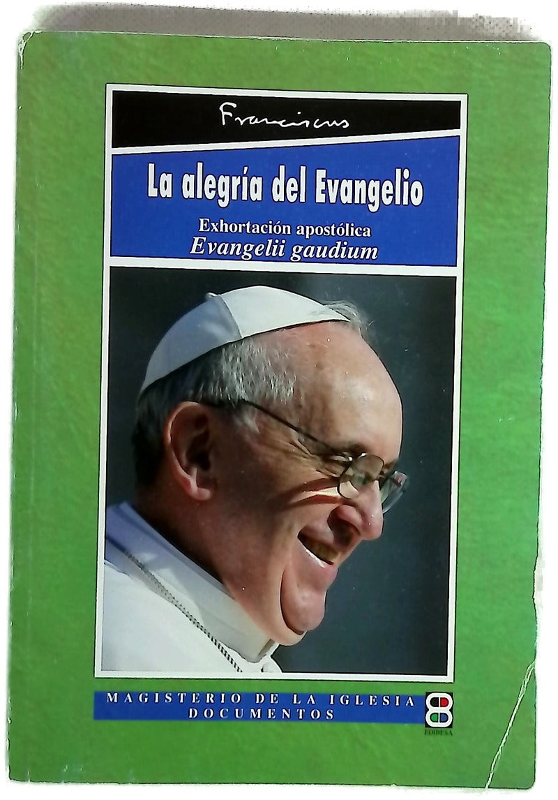 Exhortación apostólica "Evangelii gaudium" del Santo Padre Francisco a los obispos, a los presbíteros y diáconos, a las personas consagradas y a los fieles laicos sobre el anuncio del evangelio en el mundo actual