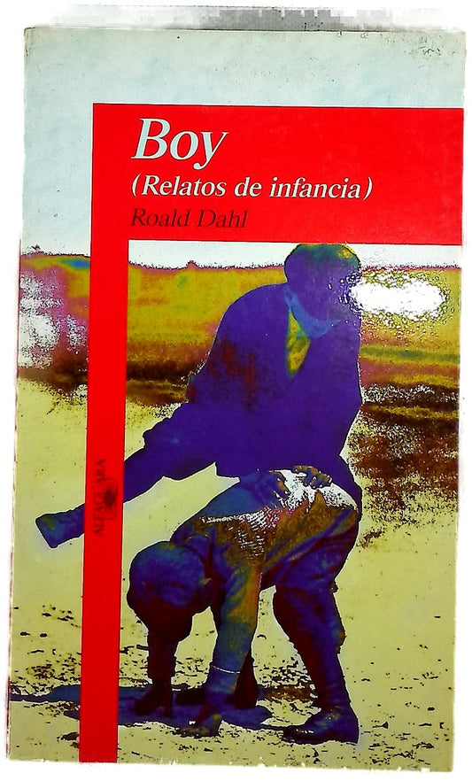 Boy (relatos de infancia)