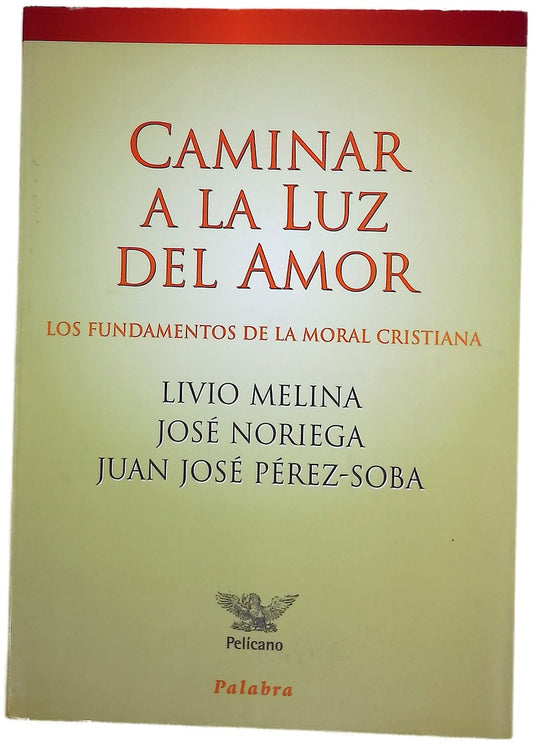 Caminar a la luz del amor los fundamentos de la moral cristiana