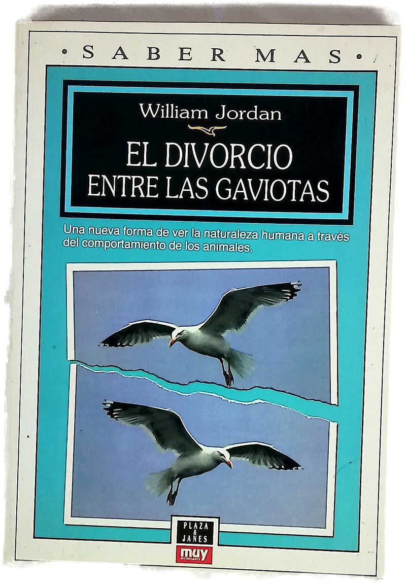 El divorcio entre las gaviotas