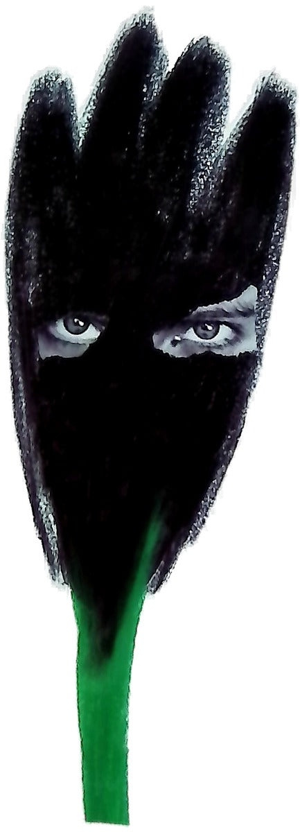 El tulipán negro
