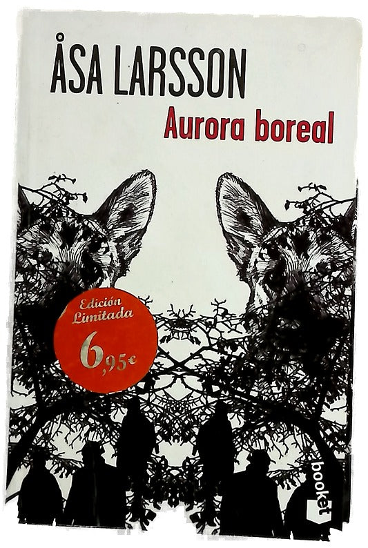 Aurora boreal
