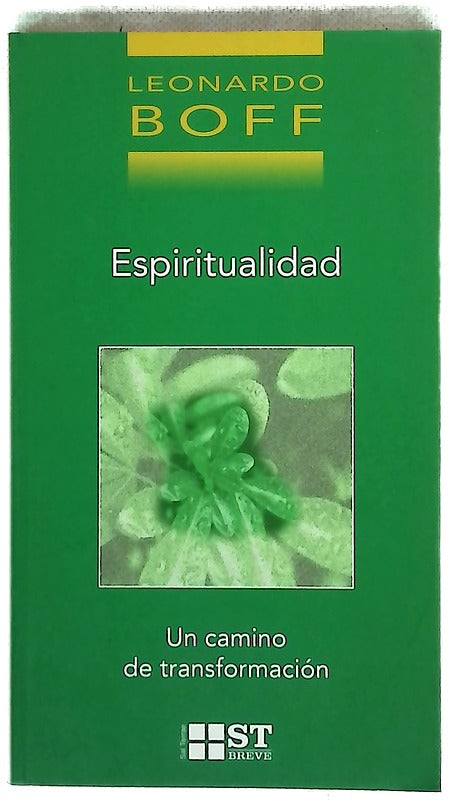 Espiritualidad un camino de transformación