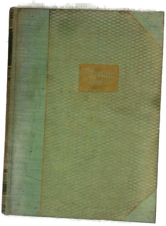 Fechoría negra
