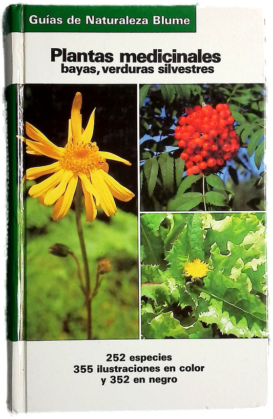Plantas medicinales, bayas, verduras silvestres