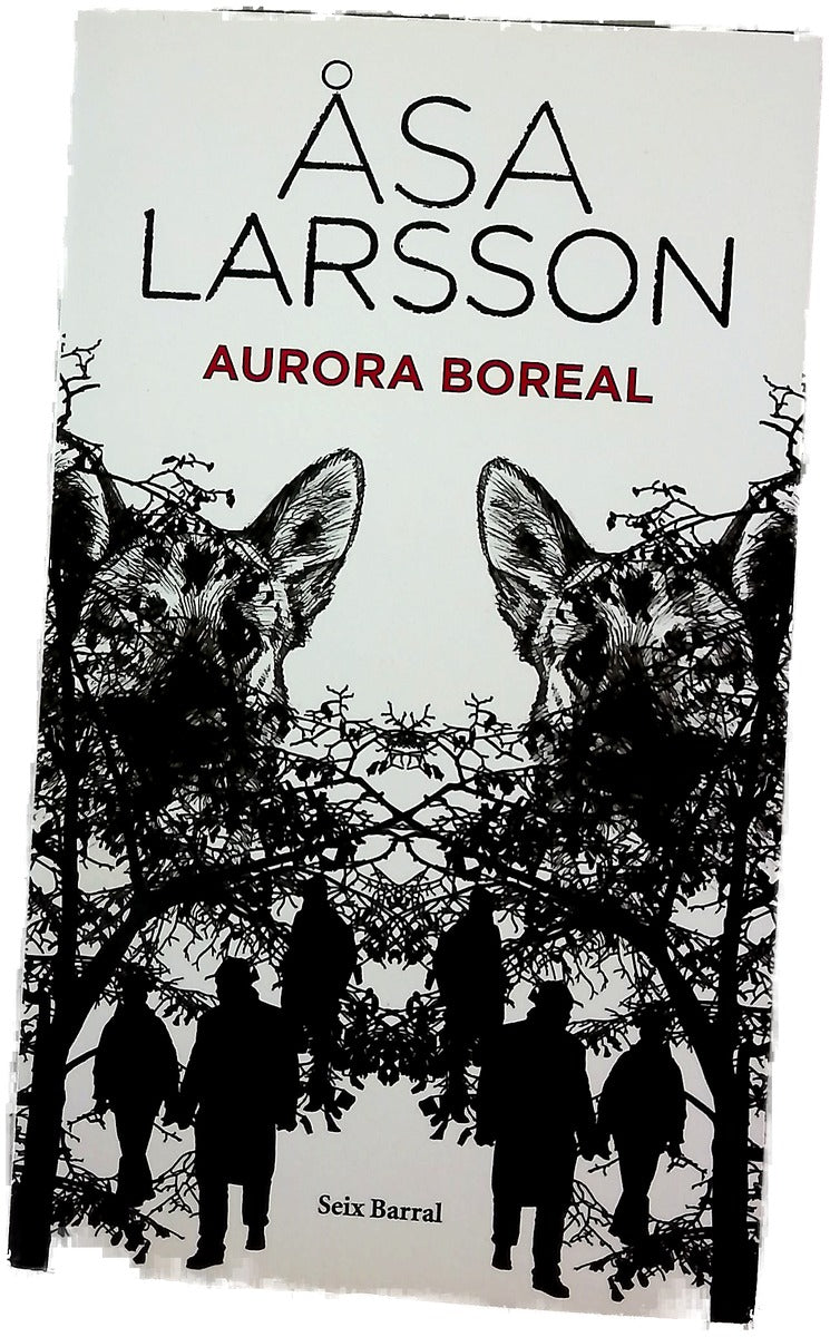 Aurora boreal