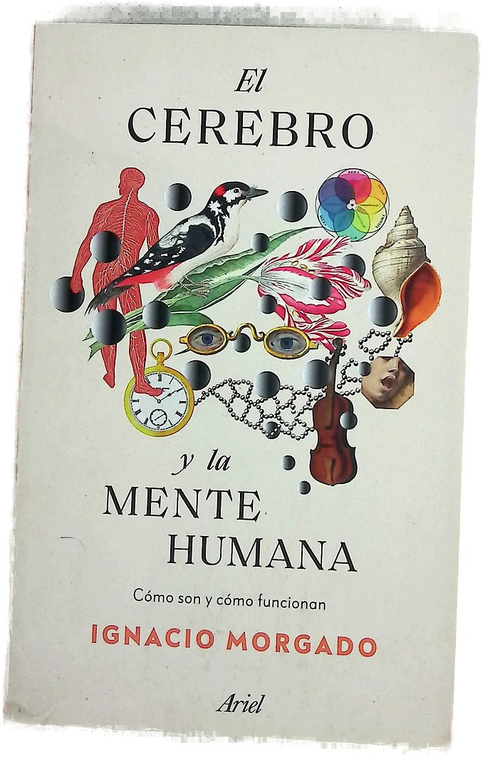 El cerebro y la mente humana : cómo son y cómo funcionan