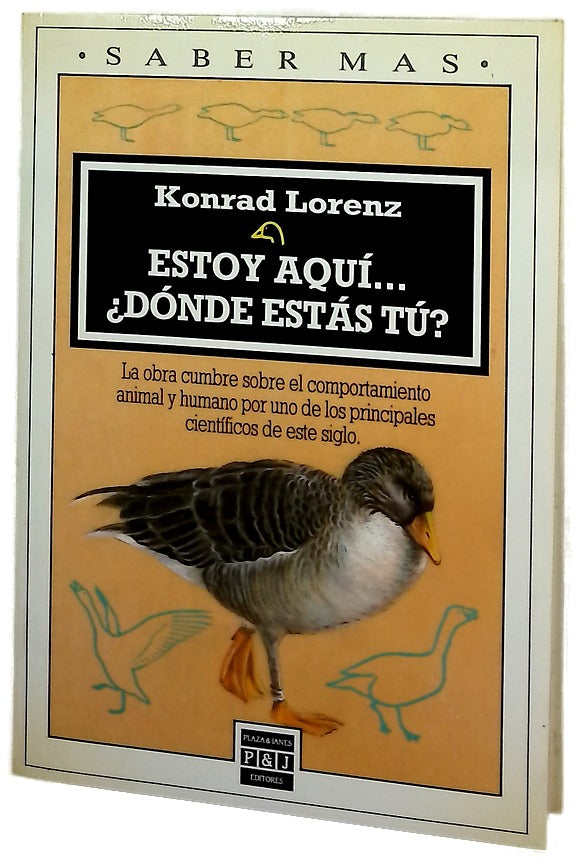 Estoy aquí ­ ¿Dónde estás tú?