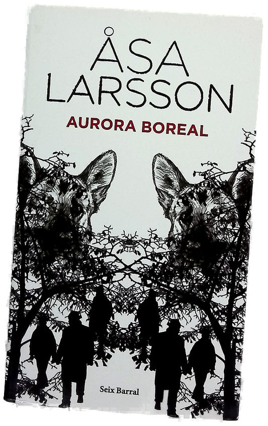 Aurora boreal