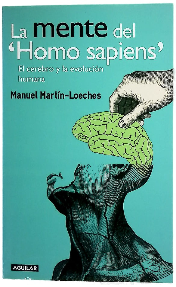 ¿Qué nos hace humanos? el cerebro y la evolución humana