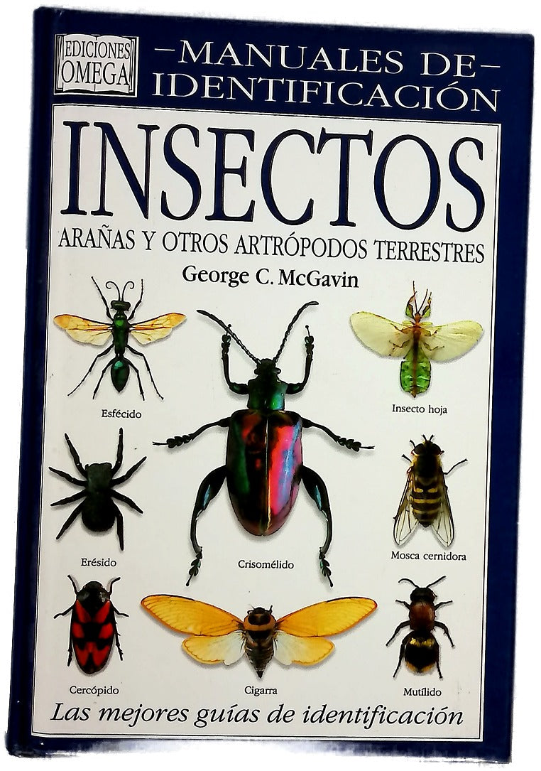 Insectos