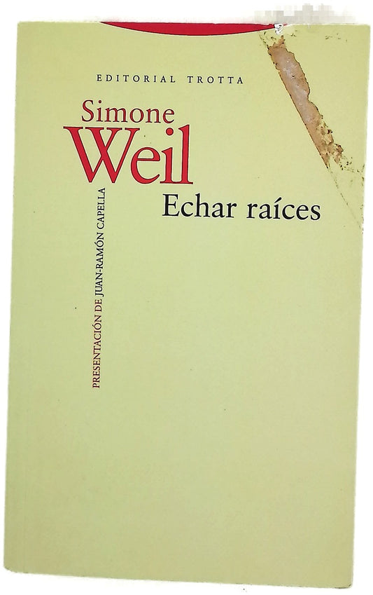 Echar raíces