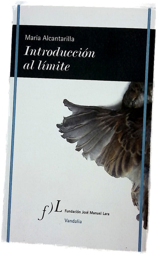 Introducción al límite