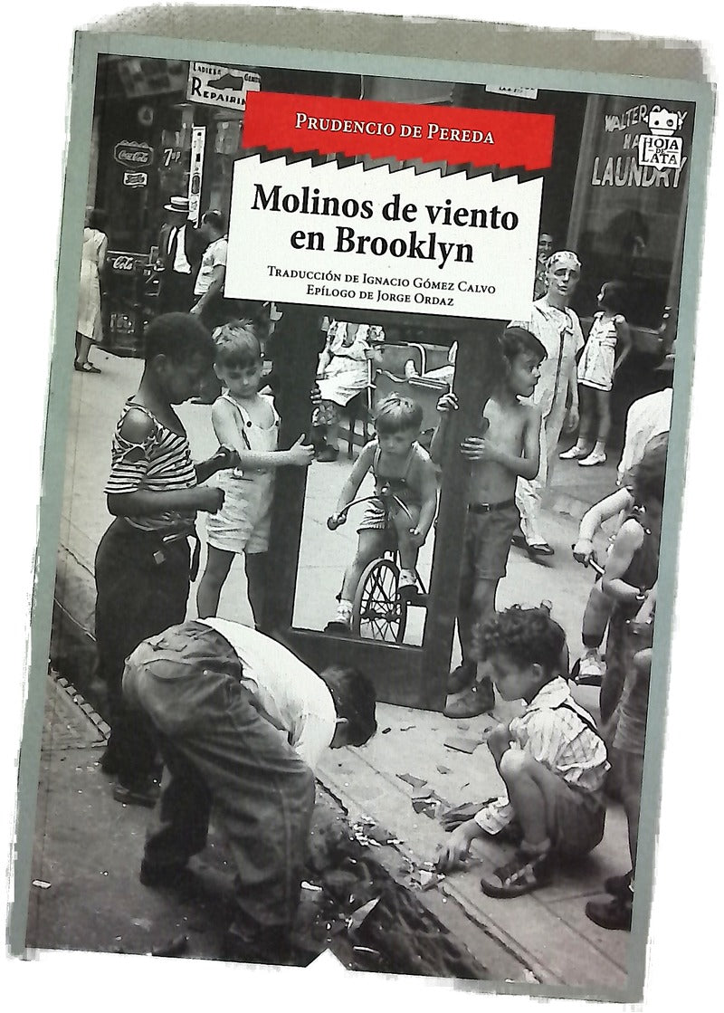 Molinos de viento en Brooklyn