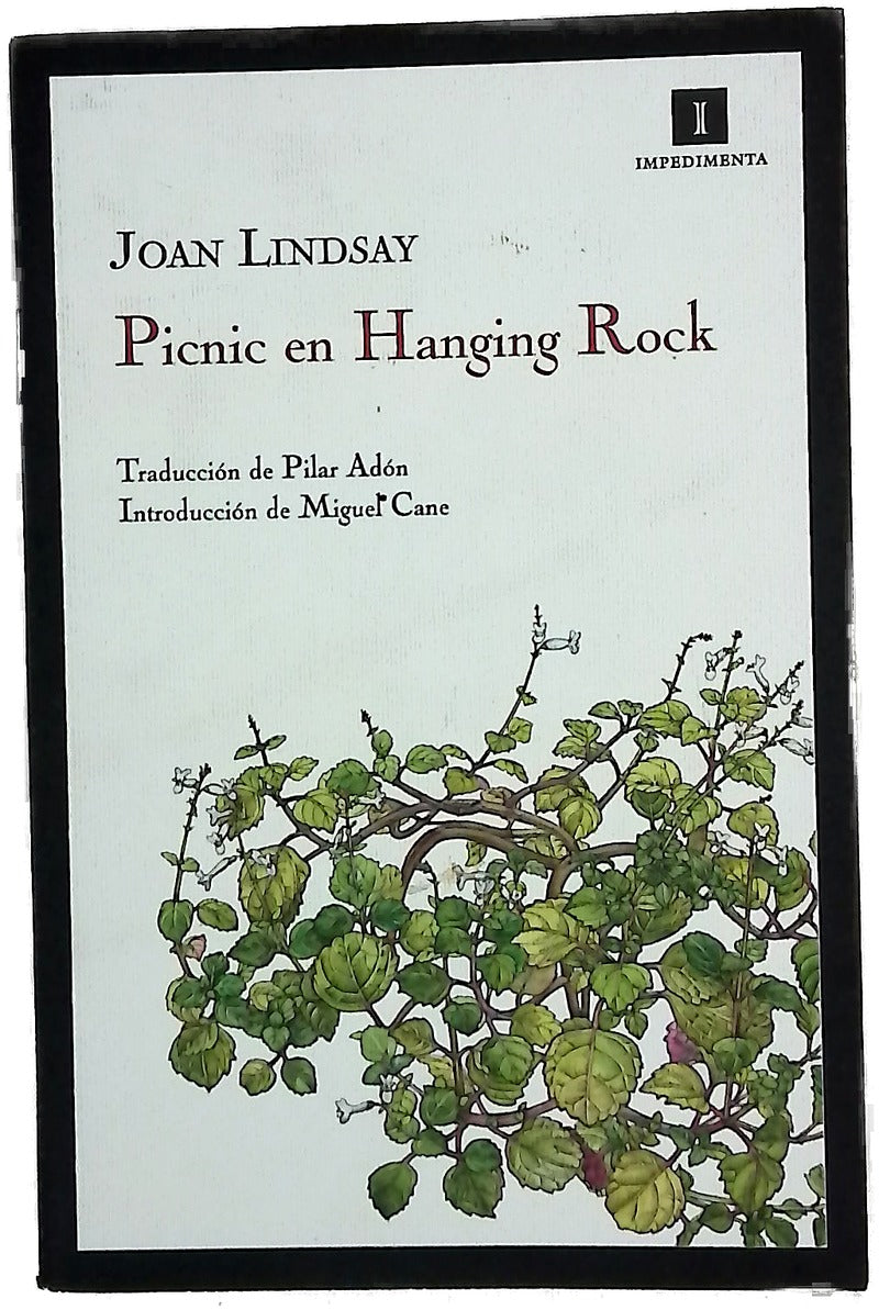 Picnic en Hanging Rock