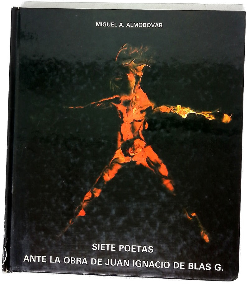 Siete poetas ante una obra de Juan Ignacio de Blas G.