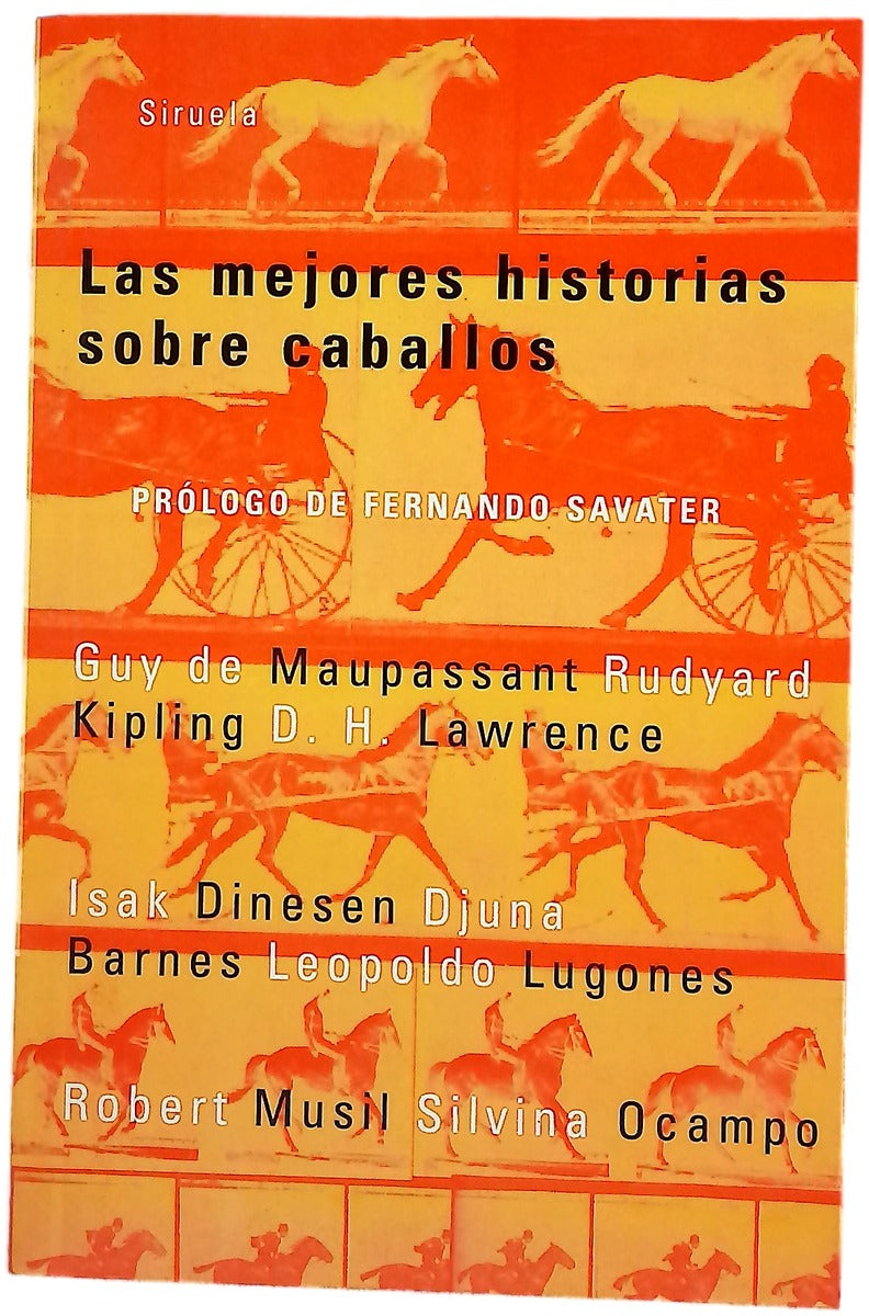 Las mejores historias sobre caballos
