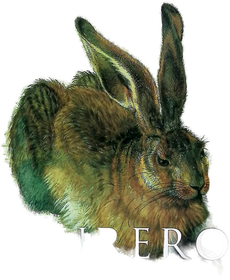 Alberto Durero : acuarelas y dibujos - 1