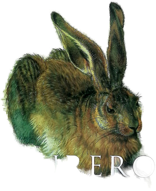 Alberto Durero : acuarelas y dibujos - 1