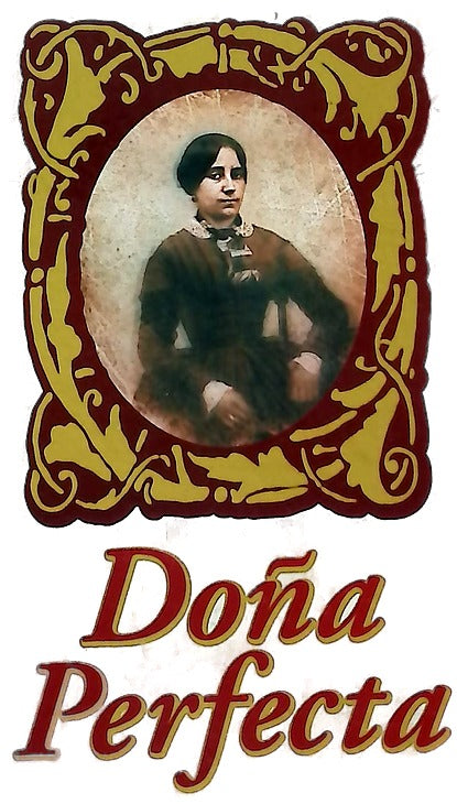 Doña Perfecta