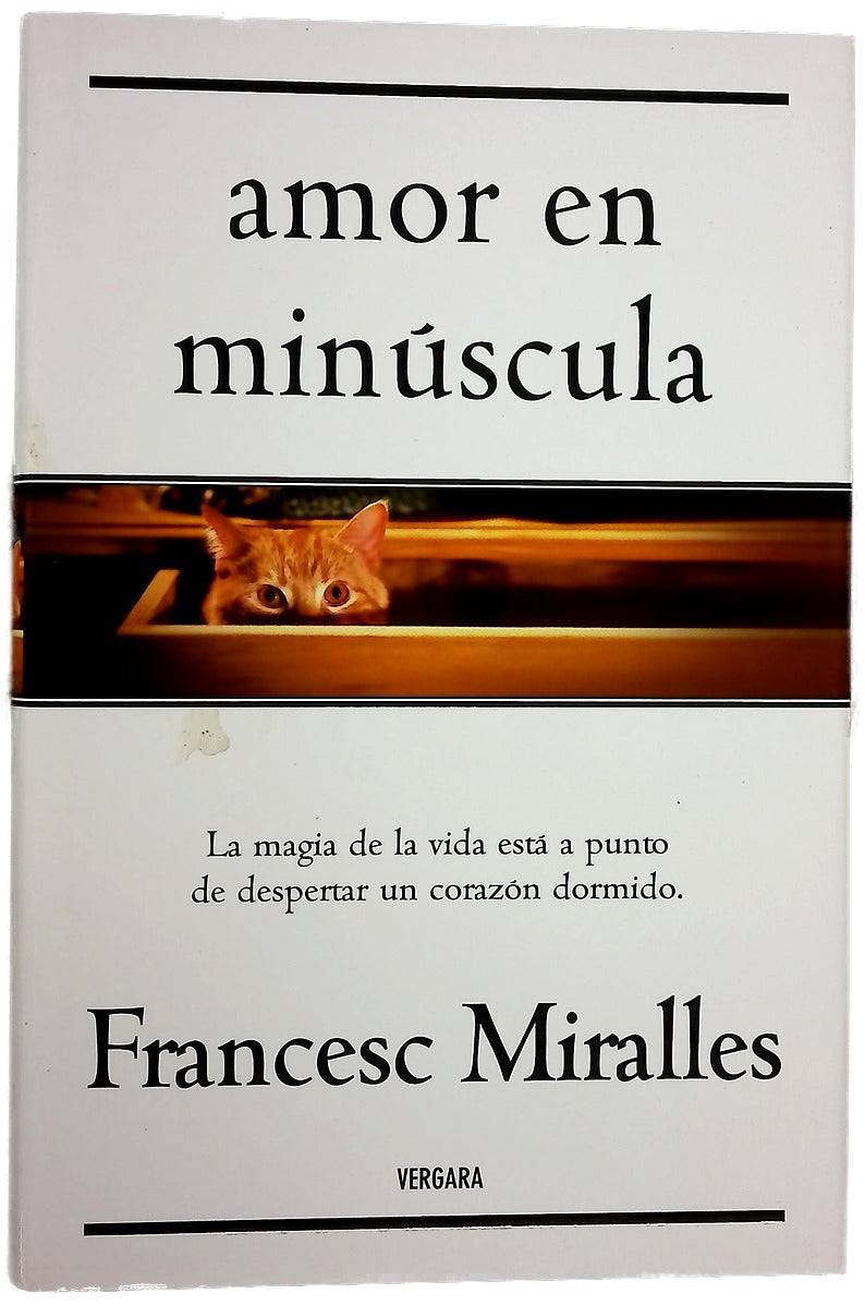 Amor en minúscula